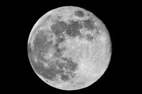 SOLEIL/ WEATHER WATCHERS Close-up of the moon in black and white in the night sky