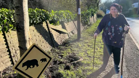 A woman dressed in a knitted headpiece and a purple jumper with coloured shapes on it, stands on a pavement with the help of two walking sticks beside a yellow diamond shaped sign with black bear symbols on it. There is a brick wall and greenery to her right.