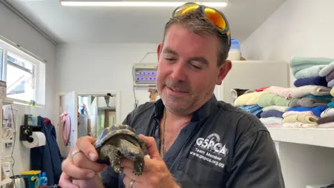 BBC A man is holding a tortoise. He is wearing a top with the GSPCA logo. He is standing indoors. Folded towels are displayed on a shelf behind him as well as other miscellaneous items.