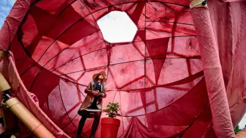 Jim Holden/RBG Kew A woman wearing a hat stood inside a large red sculpture of a seed, infront of a plant, looking up at the top of the seed, where there is a hole showing the sky