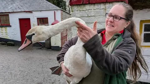 Doolittle's Wildlife Rescue Debbie Doolittle holding a swan during a rescue operation. She is a woman with very long brown hair tied back in a ponytail. She wears black-rimmed glasses, a grey fleece jacket and a green fleece top over a red polo shirt. She is standing in front of old whitewashed buildings.