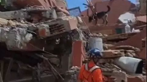 Lancashire Fire and Rescue Service A brown sniffer dog walks through orange building rubble with his handler below in a blue helmet and orange overalls.
