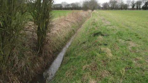 Mill Dike near Doncaster, South Yorkshire