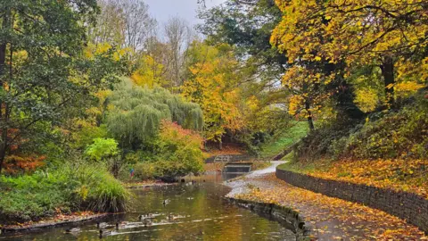 BBC Weather Watchers/Figaro A group of ducks paddles on a small stream, flanked by a stone path and wall, surrounded by autumnal trees and leaves reflecting on the water. The main colour that pops out is a bright yellow from trees to the right and centre of the image.