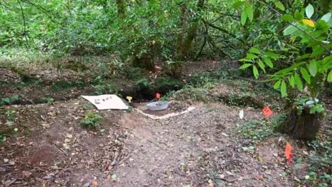 Devon and Cornwall Police Forest scene with bare forest floor covered in dead leaves. The stream is not really visible accept as a trench running across the image horizontally. Trees and green foliage are visible in the background and to the side. Orange scene markers and round metal tray and what appears to be a large white piece of paper are also visible in the images.