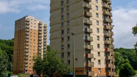 Two high-rise blocks of flats next to each other, surrounded by trees. Both blocks are around 15 storeys high and in a pale orange colour.