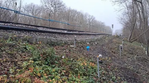 Network Rail A image from the bottom of the embankment where the landslip has occurred.