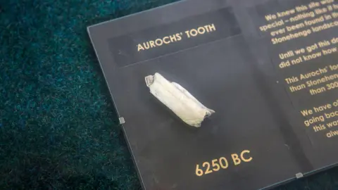 Getty Images A white tooth on a black background 
