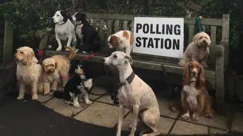 Anna Skipwith/@hellosocialLdn Nine dogs outside a polling station