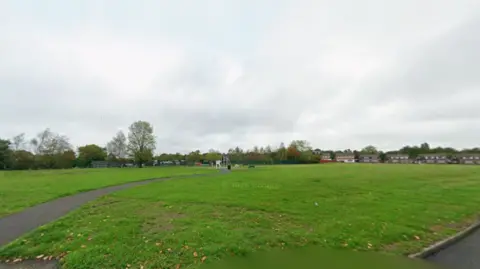 An image of a large green grass field known as Ketley Fields. There is a path running across the grassland and trees in the distance.