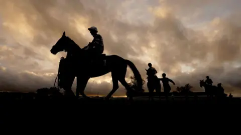 Horses are seen black against the early morning sky at Taunton in Somerset