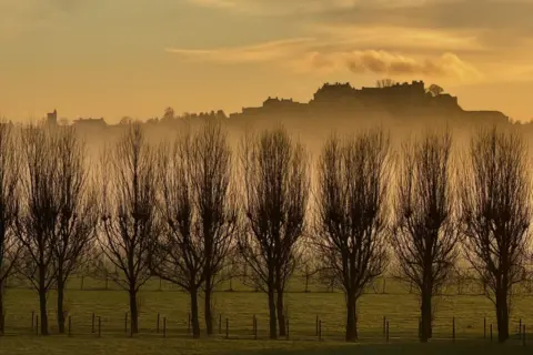 Lorna Donaldson A distant Stirling Castle visible beyond bare winter trees.