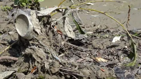 A close up of a congealed, brown, mucky waste consisting of wet wipes and plastics amongst some green branches. 