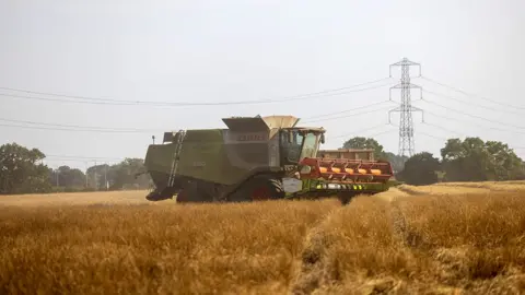 Getty Images A combine harvester out on the fields during the summer harvest with electricity pylons in the background, near Benfeet on 12 August