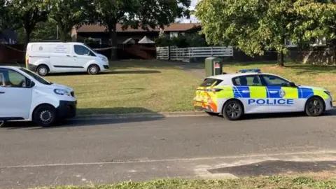 A marked police car, white ambulance van and another white van are parked on a road and a neighbouring grass verge. There are trees in the background.