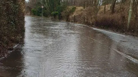 David Eccleston A road with brown hedges and trees on either side. There is a 40 mile per hour road sign on the right hand side. There is flood water covering the entire width of the road, stretching around a slight bend.