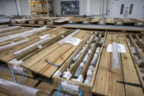 British Geological Survey Wooden cases, with hinged doors open, containing samples of rock