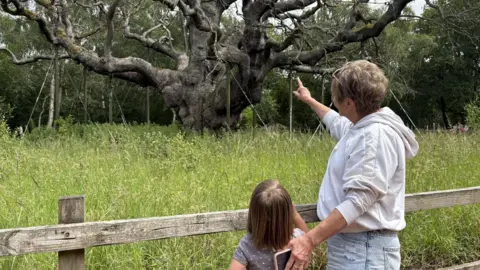 Woman showing granddaughter tree
