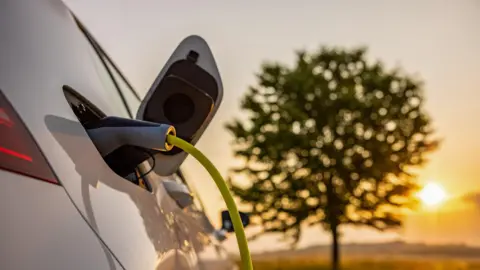 An electric car is parked opposite a tree. An electric charger is fitted to the car. The sun is shining and low in the sky.