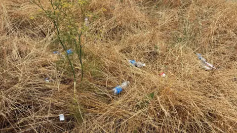 Jaimielee Rendall/BBC Empty plastic bottles sit in long grass