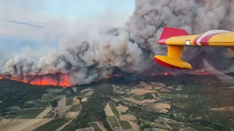 X/@SDIS11OFFICIEL A thick forest burning bright orange with thick plumes of smoke as a firefighting aircraft flies above.