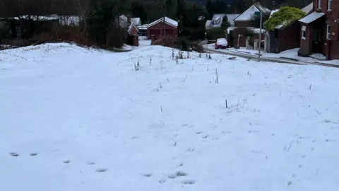 A large area of grass is covered in snow, there are houses and cars in the background with a layer of snow on them.