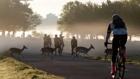 PA Media Some deer cross in front of cyclists in Richmond Park 