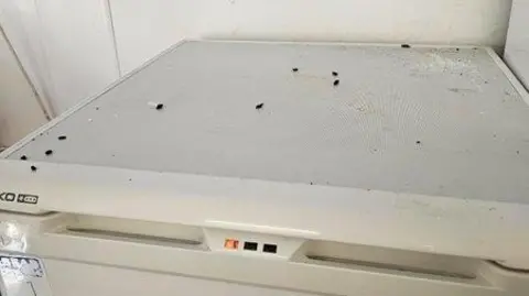 Rat droppings scattered across the top of a white fridge.