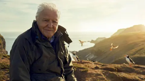 BBC/Silverback Films/Alex Board BBC handout photo of Sir David Attenborough, filming for Wild Isles series, next to Common puffins on Skomer Island, off Pembrokeshire coast, Wales
