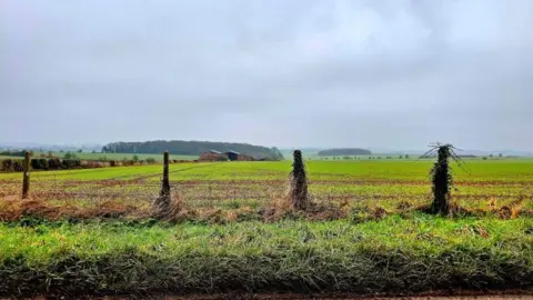 Weather Watchers/Angie sun A view across fields with four fence posts and a couple of wooded areas and farm buildings in the background.