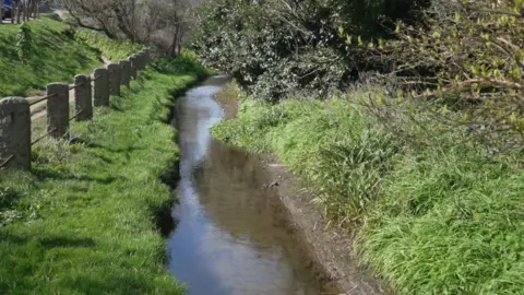 A stream running through grassy river banks and trees in the sunshine.