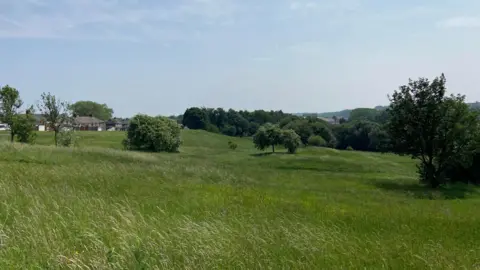 LDRS A large open field with long green grass and several large areas of trees, with woodland in the background. There is housing in the distance.