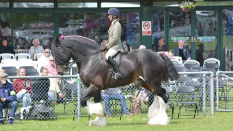 The South of England Agricultural Society The image shows a woman riding a large black horse, and spectators can be seen in the background.