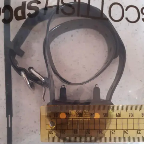 SSPCA A shock collar beside a ruler to measure it. A collar with two small metal points