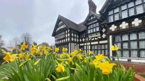 James Carnell A historic house with black and white frontage and daffodils in the foreground