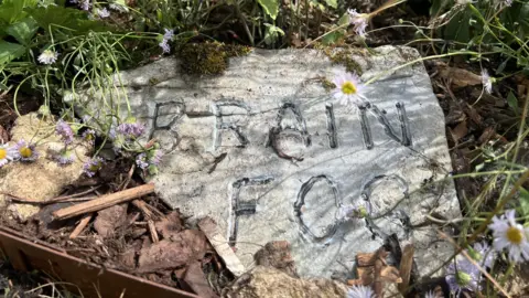 'Brain Fog' has been carved into parts of the garden along with other symptoms.