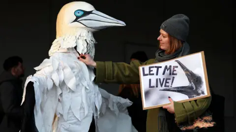 Getty Images A campaigner wearing winter clothing and holding a sign showing an image of a gannet chick with its mouth open and the words "Let me live" stands next to a person dressed as a gannet.