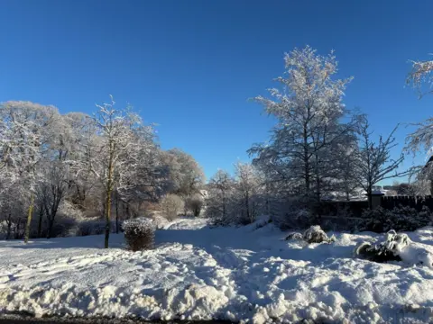 A snowy rural landscape under a blue sky. There are trees and shrubs in the background. 