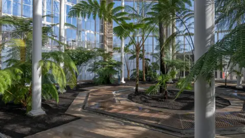 RBGE A general view inside the renovated palm houses.
