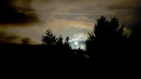 Storm-n-Shine The moon on a cloudy evening. Silhouettes of trees are in the foreground. 