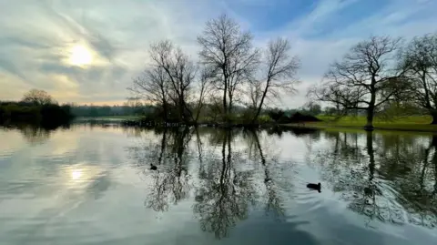The ornamental lake at Verulamium Park. In the winter scene, waterfowl can be seen in the foreground. Leafless trees around the lake are reflected in the water. 