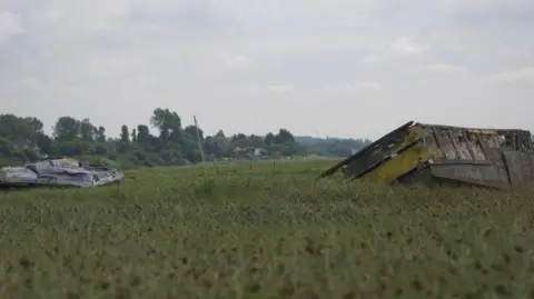 LDRS Rotting boat hulls in marshland.