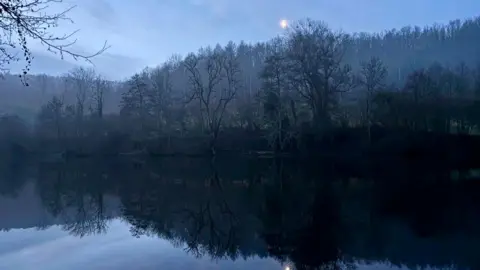 A dusky setting with a large crowd of trees and the moon reflecting in the water at Woodchester Park in Gloucestershire