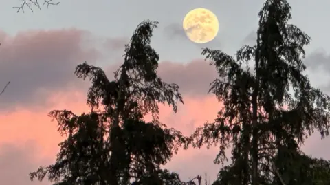 EmmaH A moon above pink clouds.