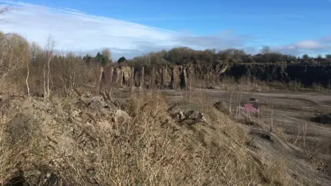 Daniel Mumby Westdown Quarry as seen from inside the quarry. It is a large open barren space with jagged rocks and twigs sticking out of the ground