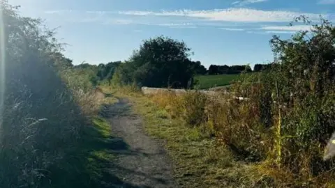 Submitted A photo of the path on the old railway line with the low wall of the bridge on the right hand side