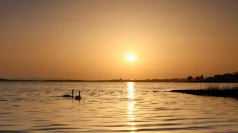 Nobby Stella Two birds are silhouetted against a body of water. The sun is setting and reflected in the ripples. The sun is low in the sky and glowing and the sky is a yellow/orange.