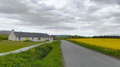 Dorothy Munro A white cottage with a grey slate roof and yellow doors sits on one side of a road. A field of yellow oilseed rape is on the other. Yellow wild flowers grown from the grass banking on the road. The sky is cloudy.