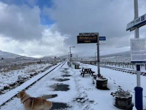 Ian Duddy A snow-covered rural railway station with mountains in the background, a digital signboard above the platform, and a dog standing in the foreground.