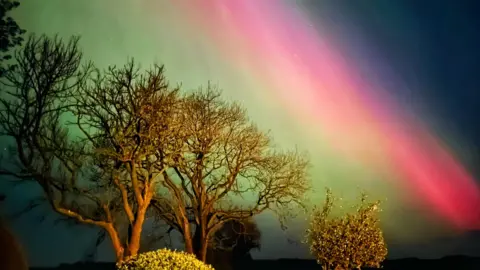 BBC Weather Watchers/Georgia Roper Lights behind the trees